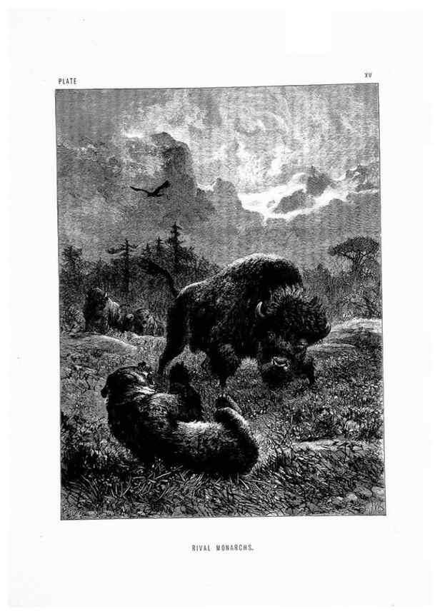 Reproducción/Reproduction 8199191103: The life and habits of wild animals,. London,A. Macmillan,1874.