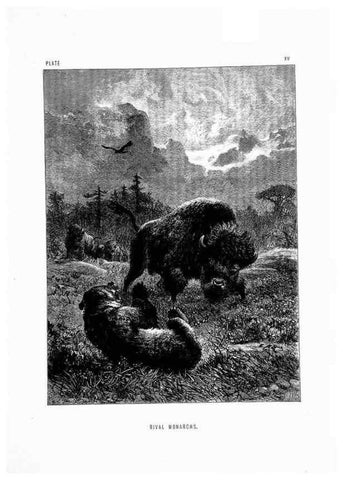 Reproducción/Reproduction 8199191103: The life and habits of wild animals,. London,A. Macmillan,1874.