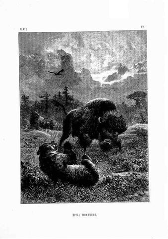 Reproducción/Reproduction 8199191103: The life and habits of wild animals,. London,A. Macmillan,1874.
