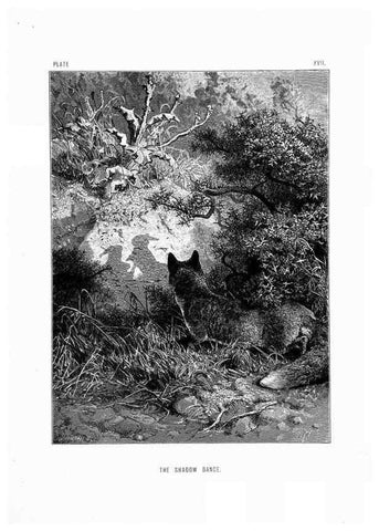 Reproducción/Reproduction 8200283988: The life and habits of wild animals,. London,A. Macmillan,1874.