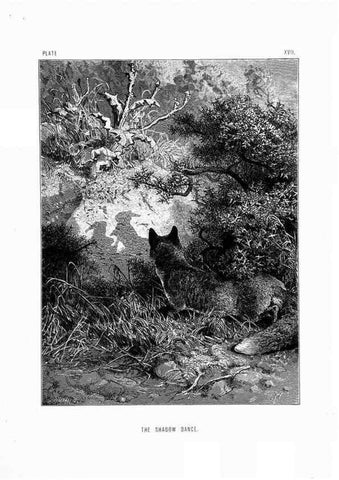 Reproducción/Reproduction 8200283988: The life and habits of wild animals,. London,A. Macmillan,1874.