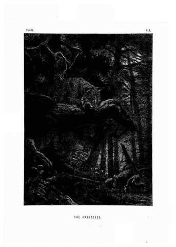 Reproducción/Reproduction 8199193269: The life and habits of wild animals,. London,A. Macmillan,1874.