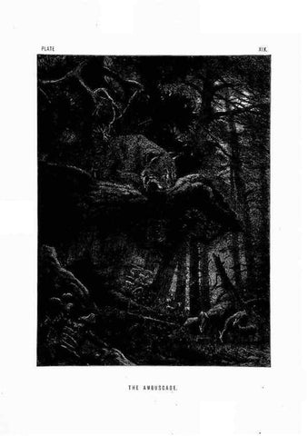 Reproducción/Reproduction 8199193269: The life and habits of wild animals,. London,A. Macmillan,1874.