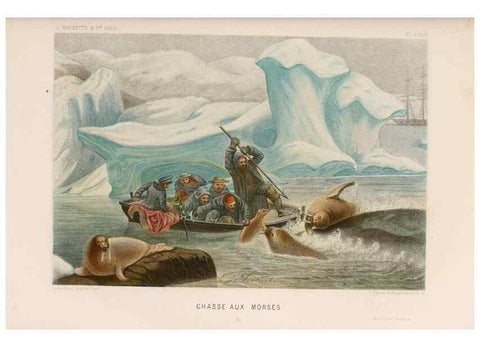 Reproducción/Reproduction 8203838770: Le monde de la mer .... Paris,L. Hachette & Cie,1866.