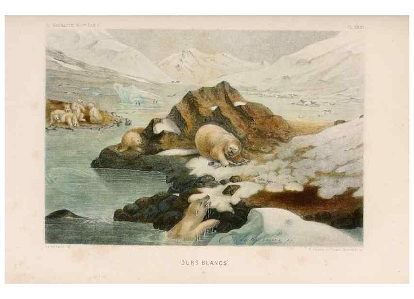 Reproducción/Reproduction 8202749633: Le monde de la mer .... Paris,L. Hachette & Cie,1866.