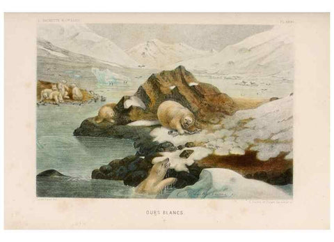Reproducción/Reproduction 8202749633: Le monde de la mer .... Paris,L. Hachette & Cie,1866.