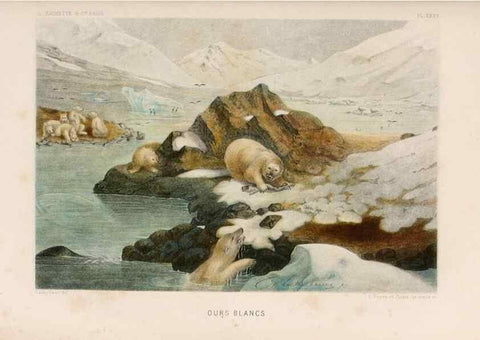 Reproducción/Reproduction 8202749633: Le monde de la mer .... Paris,L. Hachette & Cie,1866.