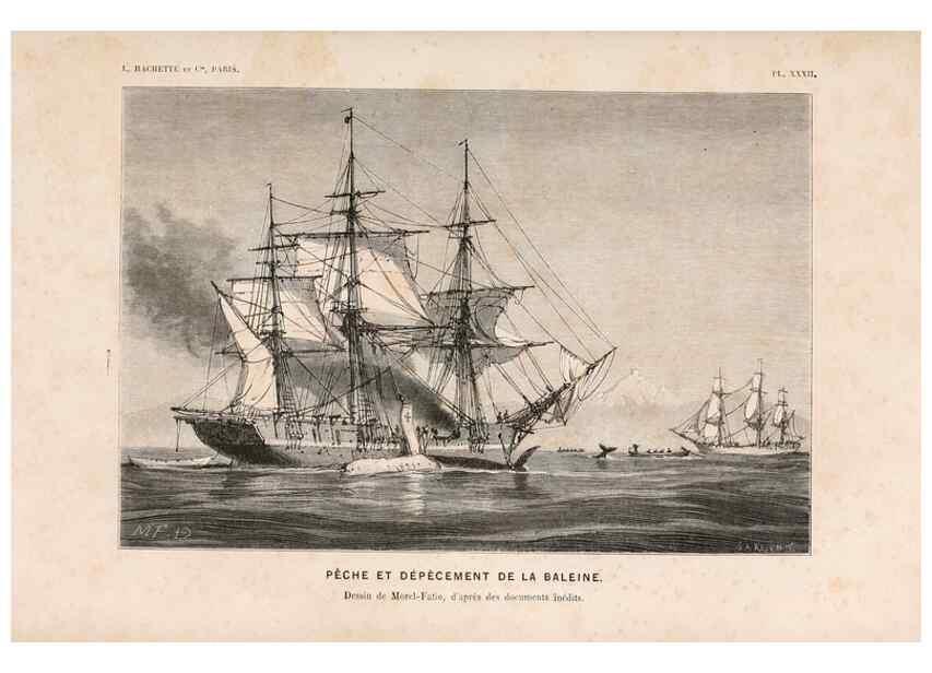 Reproducción/Reproduction 8203837050: Le monde de la mer .... Paris,L. Hachette & Cie,1866.