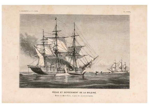 Reproducción/Reproduction 8203837050: Le monde de la mer .... Paris,L. Hachette & Cie,1866.