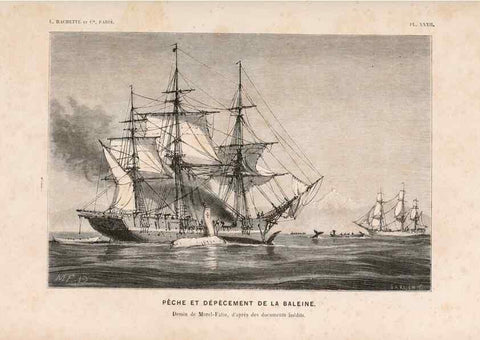 Reproducción/Reproduction 8203837050: Le monde de la mer .... Paris,L. Hachette & Cie,1866.