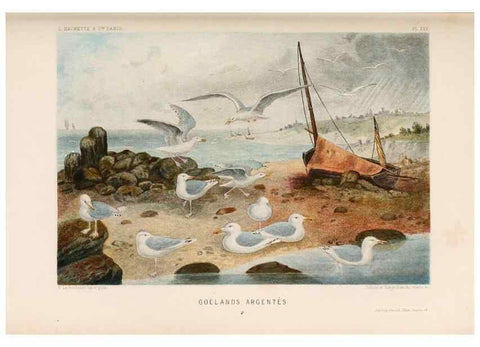 Reproducción/Reproduction 8202745861: Le monde de la mer .... Paris,L. Hachette & Cie,1866.