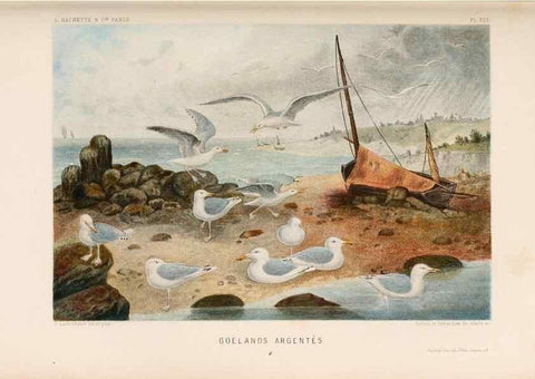 Reproducción/Reproduction 8202745861: Le monde de la mer .... Paris,L. Hachette & Cie,1866.