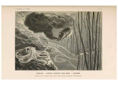 Reproducción/Reproduction 8203828966: Le monde de la mer .... Paris,L. Hachette & Cie,1866.