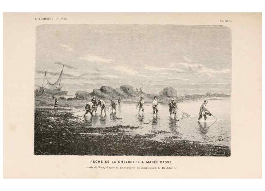 Reproducción/Reproduction 8202742193: Le monde de la mer .... Paris,L. Hachette & Cie,1866.