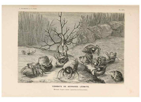 Reproducción/Reproduction 8202742939: Le monde de la mer .... Paris,L. Hachette & Cie,1866.