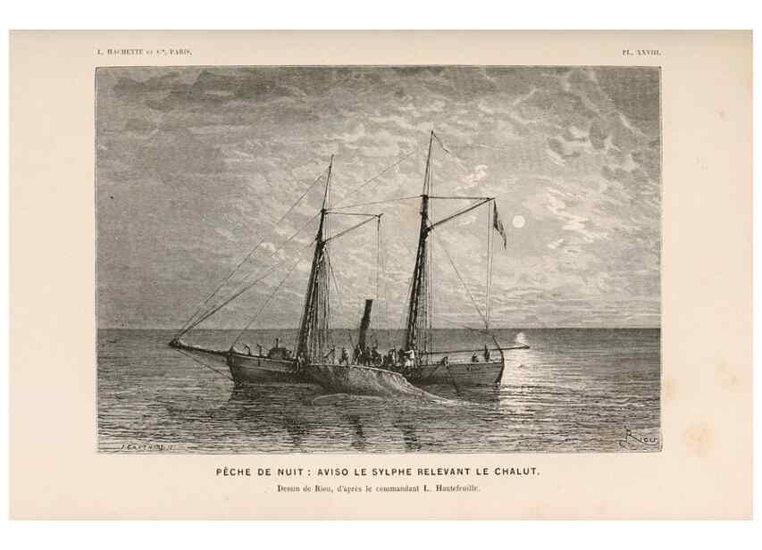 Reproducción/Reproduction 8202744717: Le monde de la mer .... Paris,L. Hachette & Cie,1866.