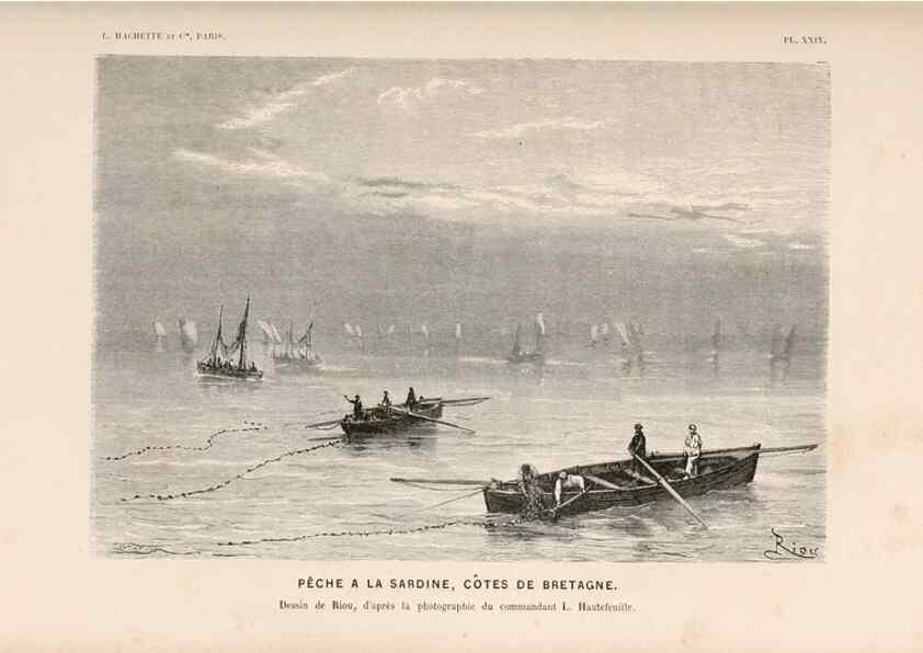 Reproducción/Reproduction 8202745285: Le monde de la mer .... Paris,L. Hachette & Cie,1866.