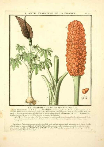 Reproducción/Reproduction 8190949352: Herbier de la France;. Paris,Chez l'auteur, Didot, Debure, Belin,1780-93.