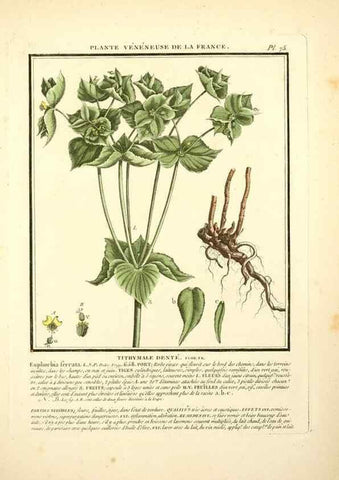 Reproducción/Reproduction 8190950302: Herbier de la France;. Paris,Chez l'auteur, Didot, Debure, Belin,1780-93.