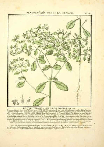 Reproducción/Reproduction 8190951900: Herbier de la France;. Paris,Chez l'auteur, Didot, Debure, Belin,1780-93.