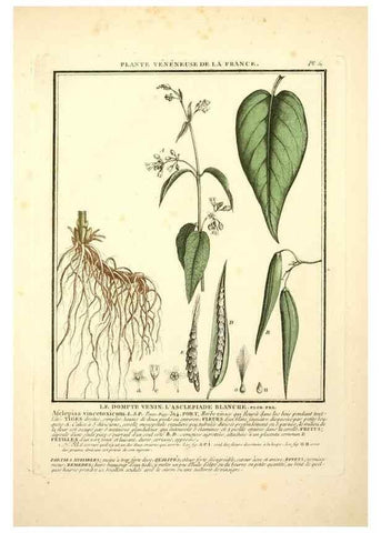 Reproducción/Reproduction 8190938788: Herbier de la France;. Paris,Chez l'auteur, Didot, Debure, Belin,1780-93.