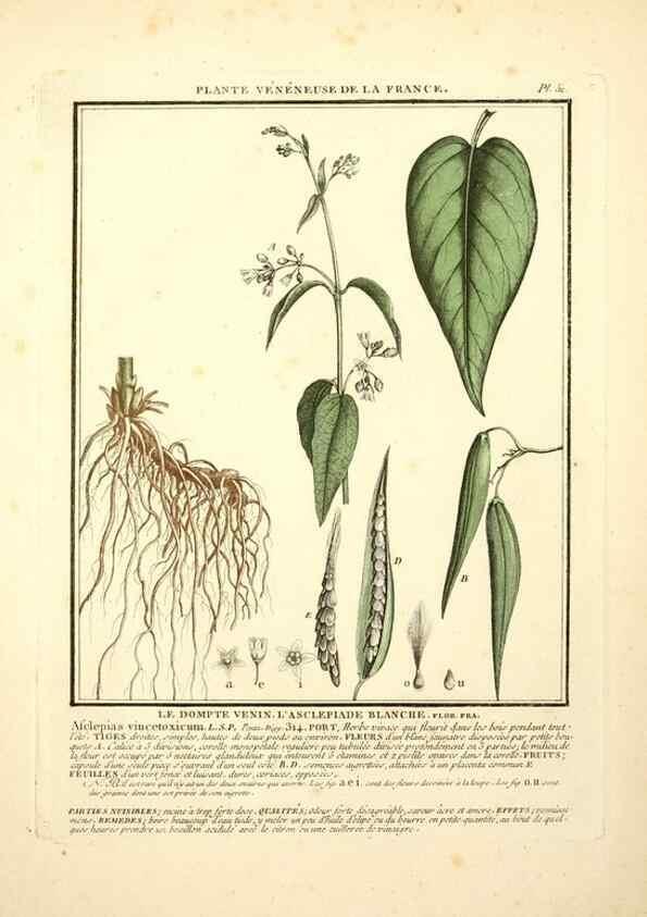 Reproducción/Reproduction 8190938788: Herbier de la France;. Paris,Chez l'auteur, Didot, Debure, Belin,1780-93.