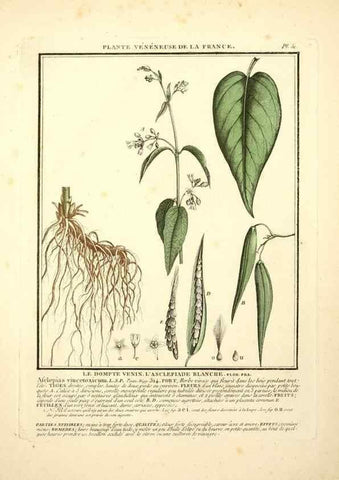 Reproducción/Reproduction 8190938788: Herbier de la France;. Paris,Chez l'auteur, Didot, Debure, Belin,1780-93.