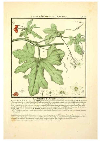 Reproducción/Reproduction 8190940520: Herbier de la France;. Paris,Chez l'auteur, Didot, Debure, Belin,1780-93.