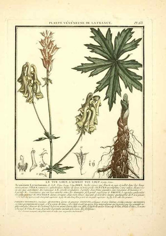Reproducción/Reproduction 8189862719: Herbier de la France;. Paris,Chez l'auteur, Didot, Debure, Belin,1780-93.