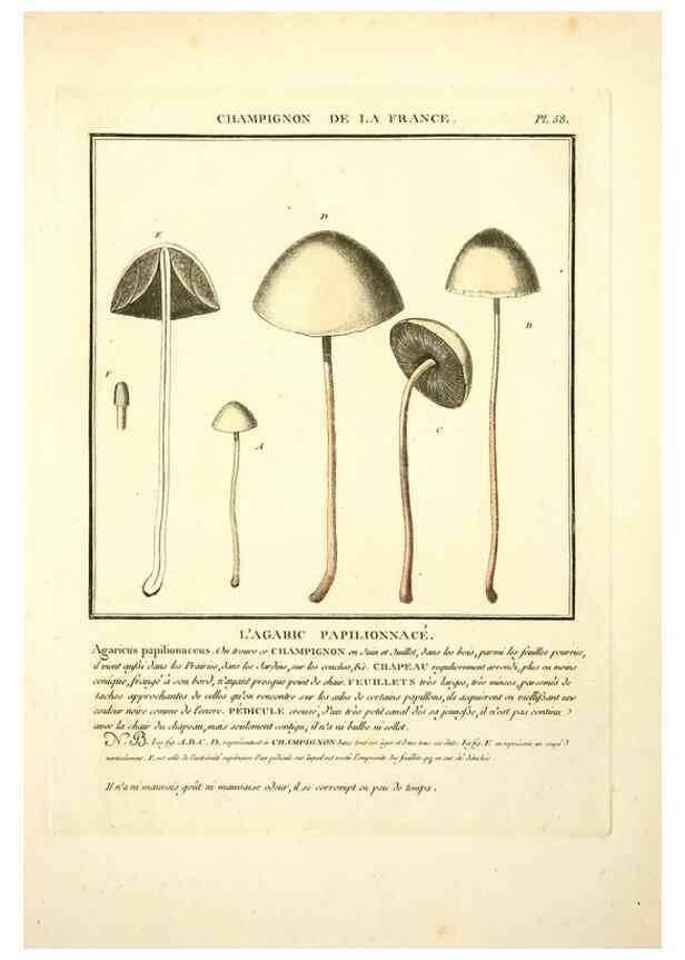 Reproducción/Reproduction 8190942112: Herbier de la France;. Paris,Chez l'auteur, Didot, Debure, Belin,1780-93.
