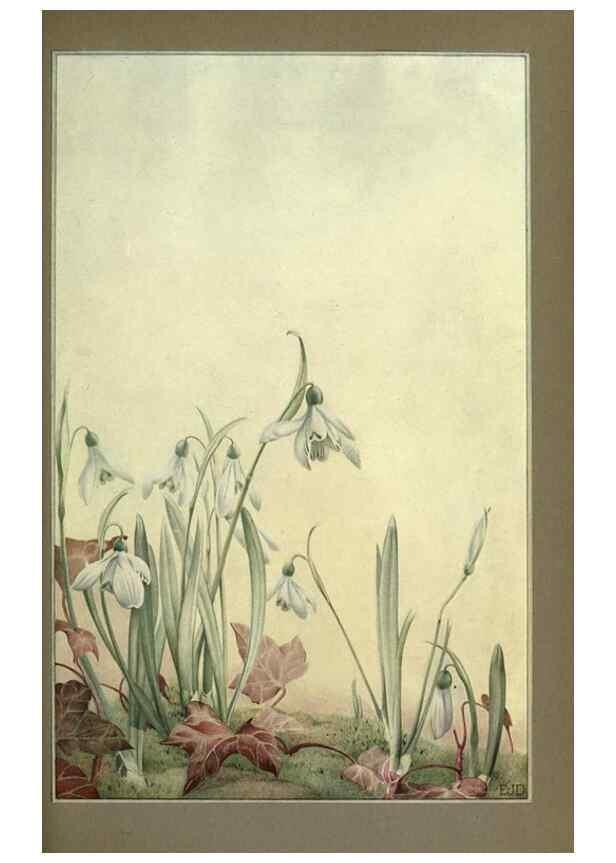 Reproducción/Reproduction 8190384103: News of spring and other nature studies.. New YorkDodd, Mead1917