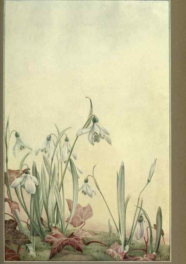 Reproducción/Reproduction 8190384103: News of spring and other nature studies.. New YorkDodd, Mead1917
