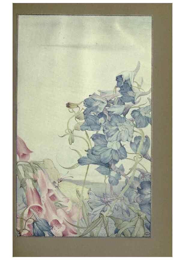 Reproducción/Reproduction 8190385019: News of spring and other nature studies.. New YorkDodd, Mead1917