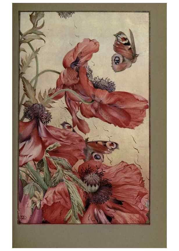Reproducción/Reproduction 8190385395: News of spring and other nature studies.. New YorkDodd, Mead1917
