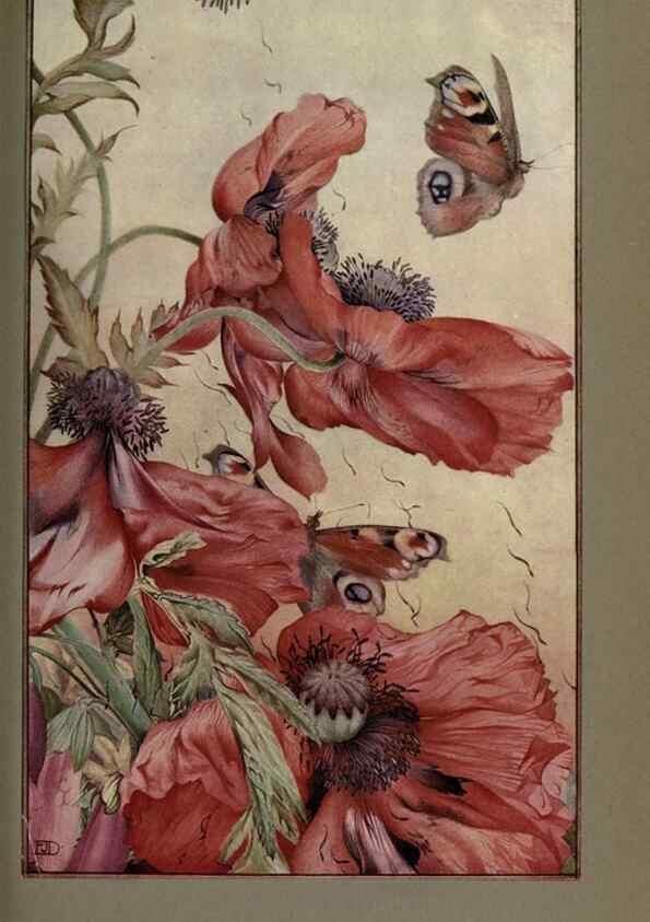Reproducción/Reproduction 8190385395: News of spring and other nature studies.. New YorkDodd, Mead1917