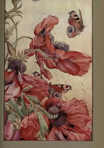 Reproducción/Reproduction 8190385395: News of spring and other nature studies.. New YorkDodd, Mead1917