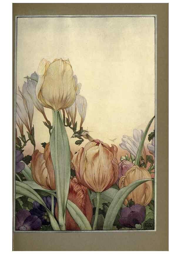 Reproducción/Reproduction 8191469142: News of spring and other nature studies.. New YorkDodd, Mead1917