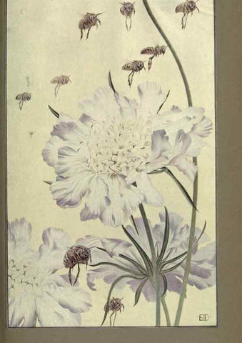 Reproducción/Reproduction 8190386509: News of spring and other nature studies.. New YorkDodd, Mead1917