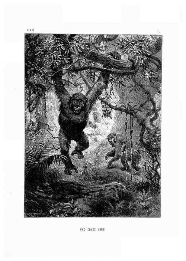 Reproducción/Reproduction 8199183407: The life and habits of wild animals,. London,A. Macmillan,1874.