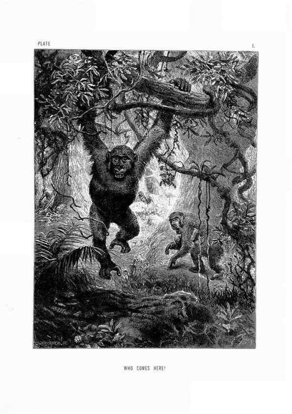 Reproducción/Reproduction 8199183407: The life and habits of wild animals,. London,A. Macmillan,1874.