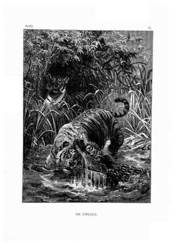 Reproducción/Reproduction 8199184567: The life and habits of wild animals,. London,A. Macmillan,1874.