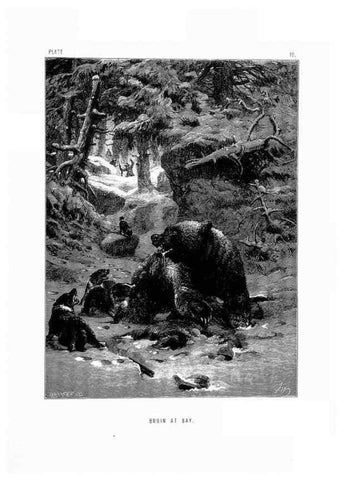 Reproducción/Reproduction 8200277264: The life and habits of wild animals,. London,A. Macmillan,1874.