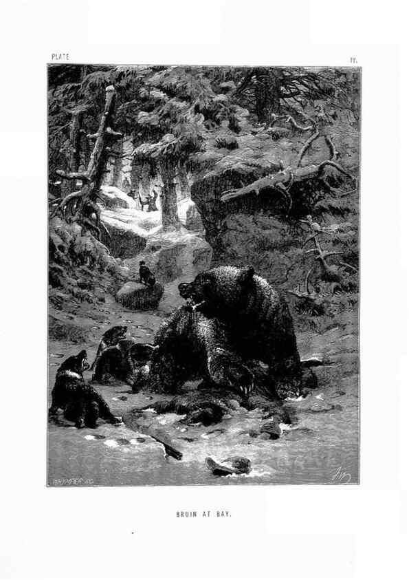 Reproducción/Reproduction 8200277264: The life and habits of wild animals,. London,A. Macmillan,1874.