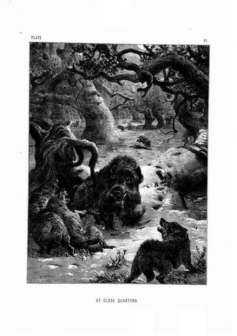 Reproducción/Reproduction 8200278584: The life and habits of wild animals,. London,A. Macmillan,1874.