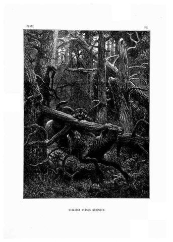 Reproducción/Reproduction 8200279030: The life and habits of wild animals,. London,A. Macmillan,1874.