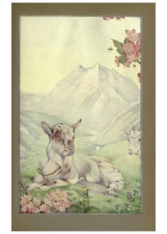 Reproducción/Reproduction 8190383435: News of spring and other nature studies.. New YorkDodd, Mead1917