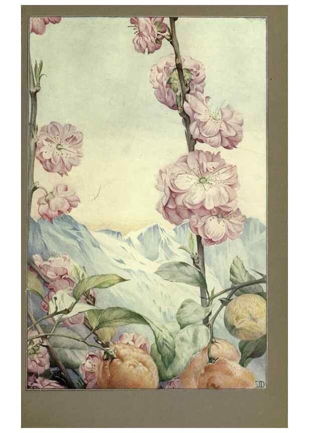 Reproducción/Reproduction 8190382987: News of spring and other nature studies.. New YorkDodd, Mead1917