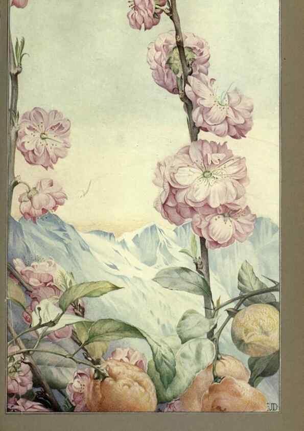Reproducción/Reproduction 8190382987: News of spring and other nature studies.. New YorkDodd, Mead1917