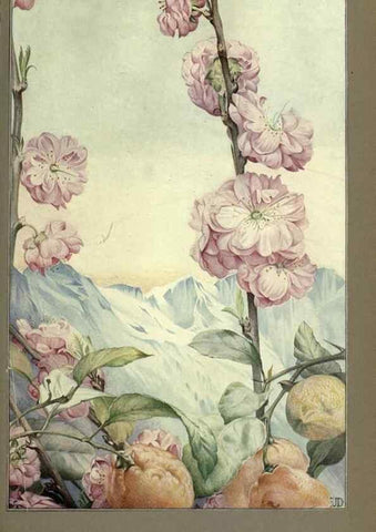Reproducción/Reproduction 8190382987: News of spring and other nature studies.. New YorkDodd, Mead1917