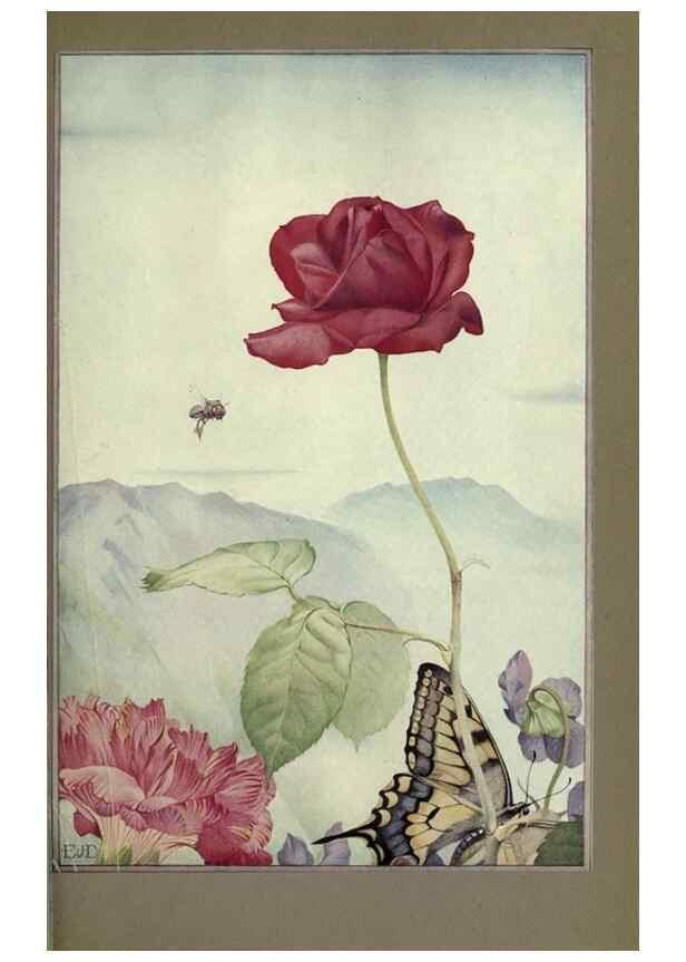 Reproducción/Reproduction 8190382207: News of spring and other nature studies.. New YorkDodd, Mead1917